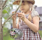  ??  ?? SECRET GARDEN
With some help and the right equipment children can discover a world of damselflie­s, below left, and a plethora of bird species, below right