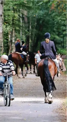  ?? RP-ARCHIVFOTO: O. STASCHIK ?? In vielen Waldgebiet­en in NRW wird das Reiten durch die Regelung angenehmer. Der Kreis hat aber das Recht zur Begrenzung.