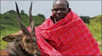  ??  ?? Grand guib Maasaï, une des antilopes de Tanzanie.