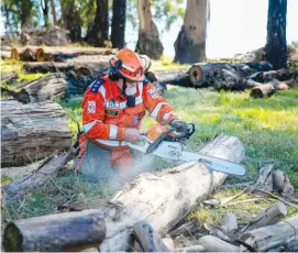  ??  ?? Chelsea SES controller Ron Finch cuts up fallen trees for removal as the clean up continues for residents almost two years on from the Bunyip State Forest fires.