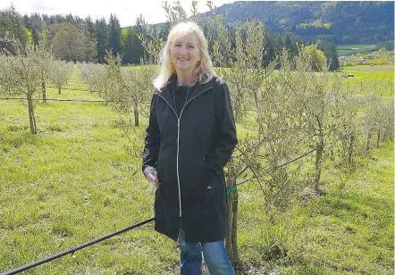  ?? — JOANNE BLAIN ?? Sheri Braun and her husband George took a risk in growing olives on Salt Spring, and it paid off with their first pressing of oil in late 2016.