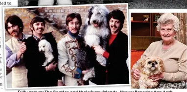  ??  ?? Fully grown: The Beatles and their furry friends. Above: Breeder Ann Arch