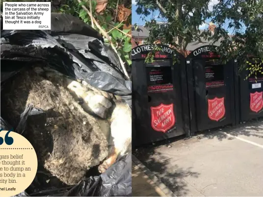  ?? RSPCA ?? People who came across the carcass of the sheep in the Salvation Army bin at Tesco initially thought it was a dog