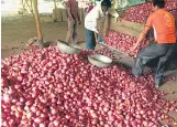  ?? MINT ?? India has recently exported onions and rice to strategic partners such as Bangladesh, the UAE, Mauritius, Bhutan and Bahrain.