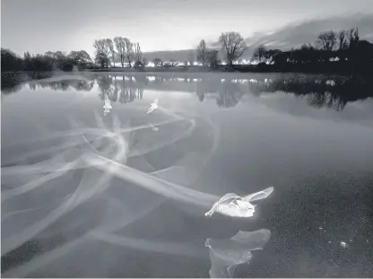  ?? PA. ?? Contrails at Dawn (Daubenton’s Bats), Coate Water Country Park, Wiltshire, by Paul Colley.