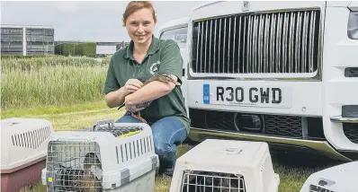  ?? ?? The ducks were released into their new home in the grounds of Rolls-Royce at Goodwood after care from Brent Lodge.