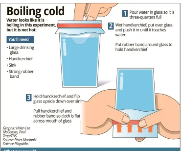  ??  ?? Graphic: Helen Lee McComas, Paul Trap/TNS Source: Peter Macinnis’ Science Playwiths