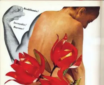  ??  ?? Culturele revolutie(1968), collage van Walter Beckers