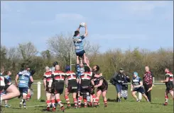  ?? Picture: Peter Branch ?? Ben Davies wins a lineout for Blues