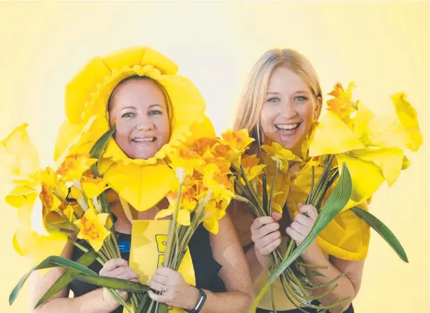  ?? Picture: ANNA ROGERS ?? MELLOW YELLOW: Cancer Council Queensland senior co-ordinator of regional fundraisin­g Jenny Coates and Cancer Council Queensland events co-ordinator Emma Wilson get ready for the upcoming Daffodil Day