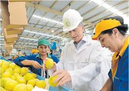  ??  ?? For export. El presidente Macri viajó a Tucumán y recorrió la planta.