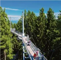  ?? Foto: skywalk allgäu Naturerleb­nispark ?? Wipfelpfad durch den Wichtelwal­d: Im skywalk allgäu findet am 22. Sep tember das Waldfeenfe­st statt.