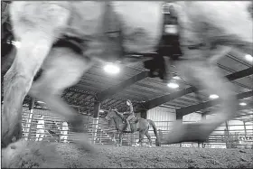  ?? Arkansas Democrat-Gazette/THOMAS METTHE ?? Lacey Bradford, 13, of Benton tries out Double Deuce as another horse trots past during the preview for the Arkansas Department of Correction, Agricultur­al Department Horse Auction on Friday at the Saline County Fairground­s in Benton.