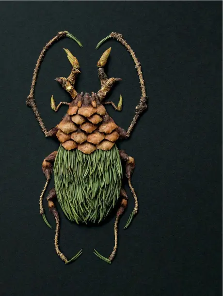  ??  ?? Kumbang goliath, bisa tumbuh lebih dari 10 sentimeter, adalah salah satu serangga terbesar di bumi. Biasanya Inoue membuat karya tanpa perekat, namun untuk proyek rumit, ia memakai lem dan selotip.