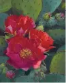  ??  ?? Lucy Dickens, Arizona Rose, oil, 20 x 16”