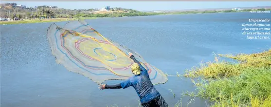  ??  ?? MERY GRANADOS Un pescador lanza al agua su atarraya en una de las orillas del lago El Cisne.