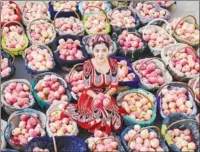  ?? PROVIDED TO CHINA DAILY ?? About 600,000 metric tons of apples are grown each year in Aksu of Northwest China’s Xinjiang Uygur autonomous region.