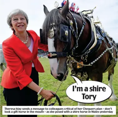  ??  ?? I’m a shire Tory Theresa May sends a message to colleagues critical of her Chequers plan – don’t look a gift horse in the mouth – as she posed with a shire horse in Wales yesterday