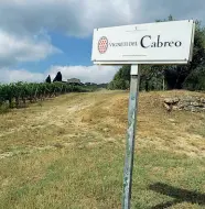  ??  ?? Il cartello dei vigneti del Cabreo, a cui si è affiancata l’accoglienz­a nel borgo. In alto i vigneti di Nozzole, a destra Giovanni Folonari