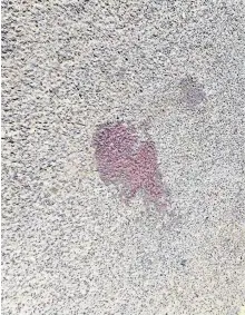  ?? CORTESÍA: SSPH ?? de sangre quedaron en el pavimento