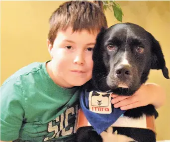  ??  ?? En quelques semaines seulement, la chienne Vanille est devenue la meilleure amie de Nicolas Guignard, atteint d’autisme. - Acadie Nouvelle: David Caron