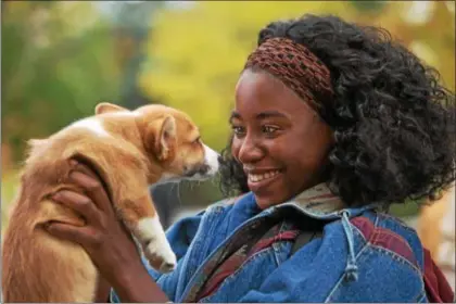  ?? UNIVERSAL PICTURES ?? Kirby Howell-Baptiste portrays one of the loving dog owners in “A Dog’s Purpose.”