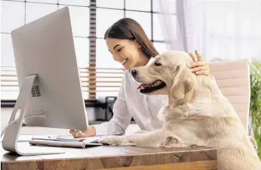  ?? ?? Viele Mitarbeite­rinnen und Mitarbeite­r fühlen sich glückliche­r, wenn sie ihr Haustier zur Arbeit mitbringen dürfen.