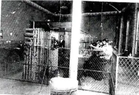  ?? (Submitted photo) ?? The first telephone company owned by R. K. Wier in 1897. It was located across the street in the Rosseau home on the north corner of Main and Montgomery Streets.