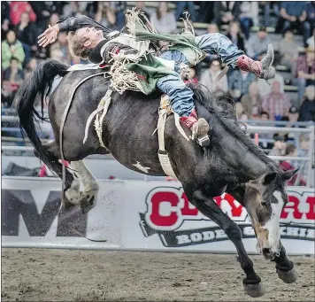  ?? STEVE BOSCH/PNG FILES ?? Bareback rider Jared Smith from Eastland, Texas makes the ride on Friday at the Cloverdale Rodeo, which goes all weekend.