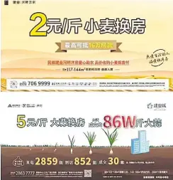  ?? ?? Screenshot of advertisem­ent from Central China Real Estate offering to let buyers use garlic crops to make their down payment on a property.