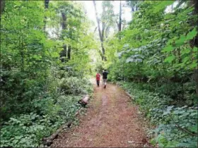  ?? DIGITAL FIRST MEDIA FILE PHOTO ?? The 17-acre Althouse open space completed the Sprogel’s Run Trail by connecting two other larger portions of township open space, as well as hosting numerous smaller trails.