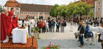  ?? Foto: Wilhelm Schmid ?? Den Segen mit den Kreuzparti­keln aus Gögglingen und Wiblingen erteilten Walter Kardinal Kasper, Rom, (links) und Dekan Ulrich Kloos, Ulm, den Reitern.