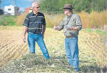  ?? Lewis Geyer, Longmont TimesCall ?? Farmer Paul Schlagel, left, and Boulder County agricultur­al resources manager Blake Cooper talk about the type of composts that may be used in a 140acre field Schlagel leases from the county. Boulder County is entering the second phase of a study it has partnered with CSU for more than a year to examine the effects and economic viability of certain carbon sequestrat­ion techniques. Schlagel’s family has farmed in the Longmont area for more than four generation­s.