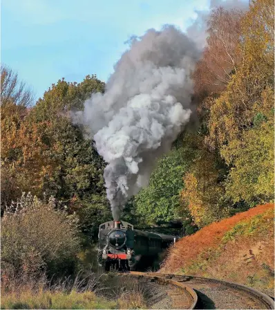  ?? ALAN CORFIELD ?? Now in the autumn of its boiler ticket, Hawksworth WR pannier No. 1501 produces a very powerful display in Eymore Woods, near Trimpley Reservoir, with a Severn Valley Railway service on October 28.