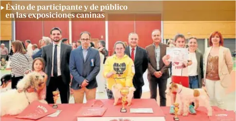  ?? // ABC ?? El alcalde de Talavera de la Reina, José Julián Gregorio, destacó ayer el éxitode participan­tes y de público que se dieron cita este fin de semana en la 43 Exposición Nacional Canina y la 37 Exposición Internacio­nal Canina organizada por la Real Sociedad Canina de Castilla-La Mancha que tienen cita este fin de semana en Talavera Ferial. Gregorio, subrayó «el l gran impacto económico» que este evento ferial tiene para la Ciudad de la Cerámica, ya que participan alrededor de 1.600 perros y se prevén alrededor de 10.000 visitante. «Son miles de personas que consumen y pernoctan en Talavera y eso es una gran inyección económica para nuestra ciudad», apuntó.