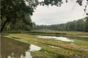  ?? FOTO TOERISME MALLE ?? Een blik op het Klokkeven en de moerassige omgeving vanop de trage weg die in het Tichelmanp­ad werd opgenomen.