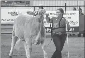  ?? ?? Harlee Chubb leads her animal in the arena during the junior division showmanshi­p competitio­n.