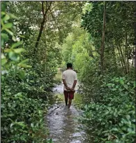  ?? ?? Aslori walks Sept. 5 on a flooded village pathway in Mondoliko.