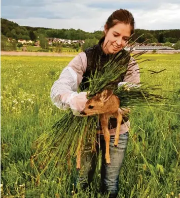  ?? Foto: Elke Dommer ?? Gerettet: Simone Steppich mit einem der beiden Rehkitze, die sie und ihr Vater Christoph Steppich vor dem Mähen in einer Wiese im Revier Wörleschwa­ng bei Zusmarshau­sen gefunden und in Sicherheit gebracht haben.