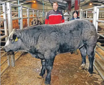  ?? Photos: Kevin McGlynn. ?? Donald McVicar and his son Rowen with the champion calf Limousin cross Belgian Blue calf from FDA &amp; D McVicar Lephinchap­el, Strathlach­lan, which sold for £1,010.