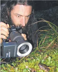  ??  ?? A RARE FIND: Professor Don Driscoll prepares to photograph a Baw Baw frog.