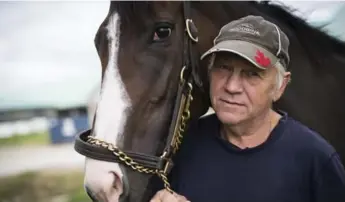  ?? MELISSA RENWICK/TORONTO STAR ?? Skylander Girl has earned more than $500,000 for Alexander Patykewich, who bought the filly for just $3,500.