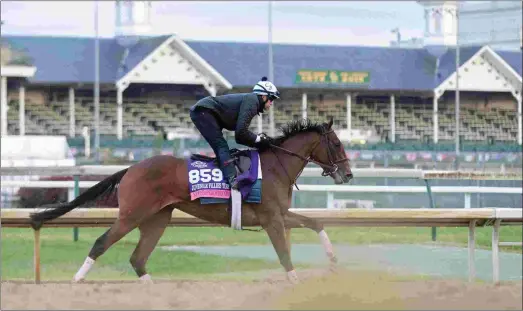  ?? BARBARA D. LIVINGSTON ?? Newspapero­frecord trains Tuesday at Churchill for her attempt at giving trainer Chad Brown a fifth Juvenile Fillies Turf win.