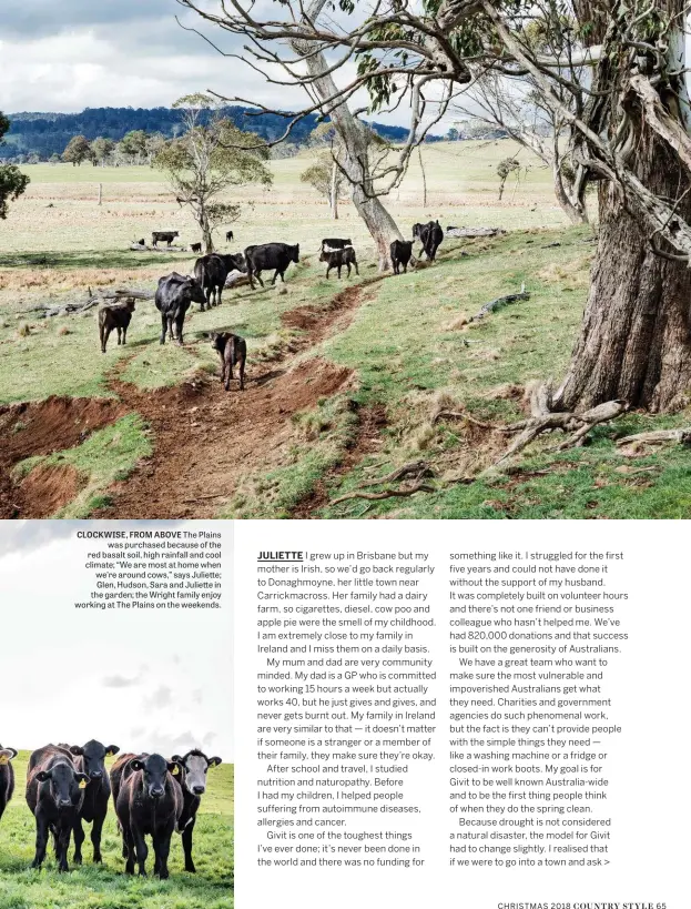  ??  ?? CLOCKWISE, FROM ABOVE The Plains was purchased because of the red basalt soil, high rainfall and cool climate; “We are most at home when we’re around cows,” says Juliette; Glen, Hudson, Sara and Juliette in the garden; the Wright family enjoy working at The Plains on the weekends.
