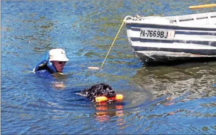  ?? ANDREW CASS - NEWS-HERALD ?? Hampton Hills Newfoundla­nds perform a water rescue demonstrat­ion at Working Dog Weekend at Lake Metroparks Farmpark in Kirtland June 12.