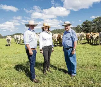  ?? PHOTO: JOHN WILSON PHOTOGRAPH­Y ?? BEEF BUSINESS: Cam, Lisa and Brian Hughes, owners of Malarga Grazing.