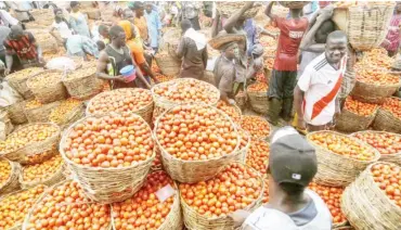  ?? PHOTO: Yvonne Ugwuezuoha ?? People selling tomatoes in the market