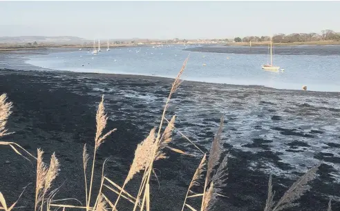  ?? ?? Editor In Chief Gary Shipton snapped this photo at Chichester Harbour last weekend – from Cobnor looking to Bosham