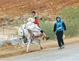  ??  ?? A BOY on a donkey transports bags of cabbage after working in a field in Nassariya, 14 km. east of Nablus, last month.