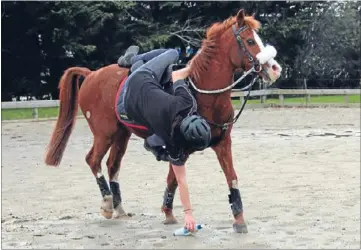  ??  ?? Skills: Mounted Games virtuoso Hannah Burrows in action.